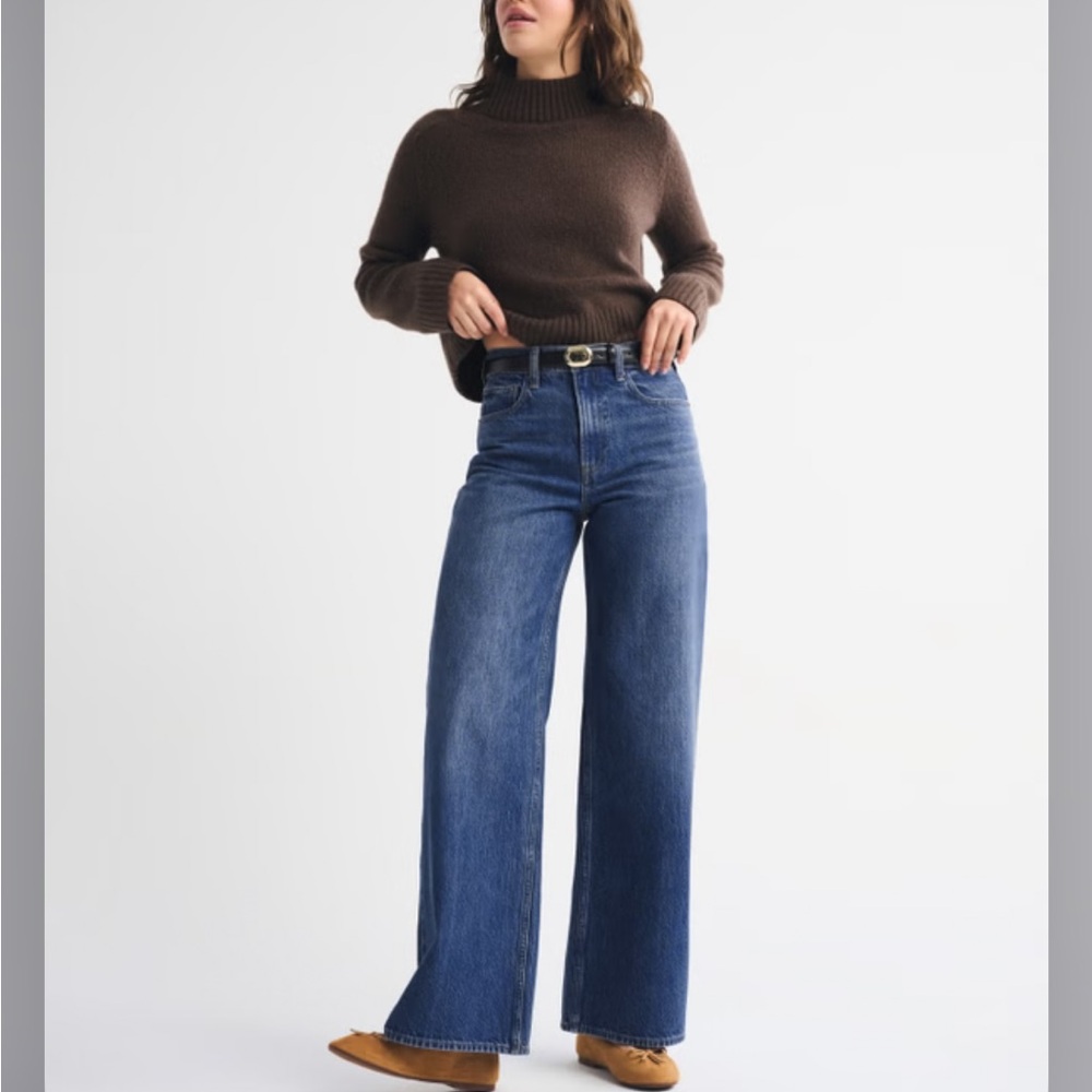 Abercrombie & Fitch Curve Love High Rise Wide Leg Jean Size 29 Short